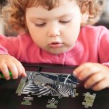 yanfind Picture Puzzle Zebra Wildlife Nursing Milk Feeding Terrestrial Vertebrate Mane Snout Organism Grassland Family Game Intellectual Educational Game Jigsaw Puzzle Toy Set