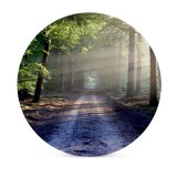 yanfind Ceramic Coasters (round) Forest Path Trees Outdoor Woods Sunlight Family Game Intellectual Educational Game Jigsaw Puzzle Toy Set