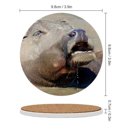 yanfind Ceramic Coasters (round) Wild   Zebra Safari Vertebrate Snout Terrestrial Nose Wildlife Mouth Working Family Game Intellectual Educational Game Jigsaw Puzzle Toy Set