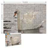 yanfind Picture Puzzle  Lake Park Roath Wildlife  Bird Beak Ducks Geese Swans Waterfowl Family Game Intellectual Educational Game Jigsaw Puzzle Toy Set