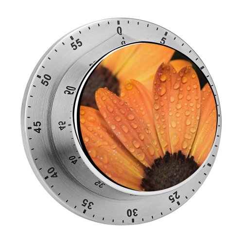 yanfind Timer Skitterphoto Flowers Daisy Macro Drops Dew Petals  Bloom 60 Minutes Mechanical Visual Timer
