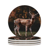 yanfind Ceramic Coasters (round) Fallow Deer Squirrel Bird Trees Forest Autumn Family Game Intellectual Educational Game Jigsaw Puzzle Toy Set