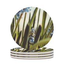 yanfind Ceramic Coasters (round) Images  Flora Spring Flowers Agapanthus Grapes Wallpapers Plant Produce Fruits Stock Family Game Intellectual Educational Game Jigsaw Puzzle Toy Set