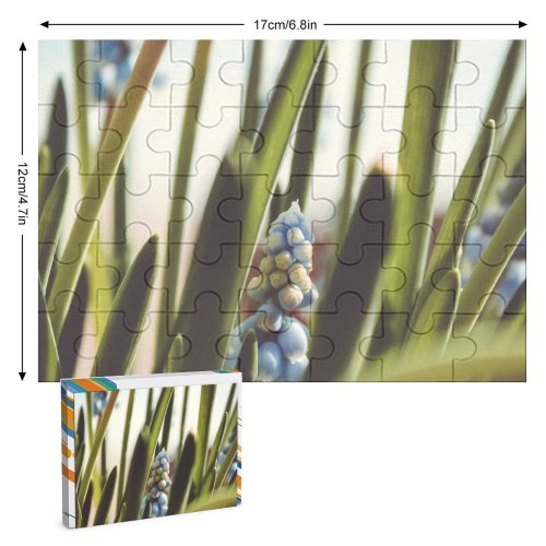 yanfind Picture Puzzle Images  Flora Spring Flowers Agapanthus Grapes Wallpapers Plant Produce Fruits Stock Family Game Intellectual Educational Game Jigsaw Puzzle Toy Set
