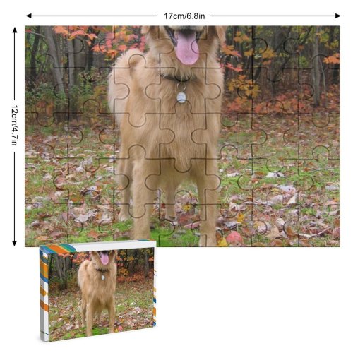 yanfind Picture Puzzle Golden Fall Autumn Dog Play Vertebrate Canidae Carnivore Sporting Tree Family Game Intellectual Educational Game Jigsaw Puzzle Toy Set