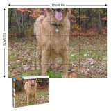 yanfind Picture Puzzle Golden Fall Autumn Dog Play Vertebrate Canidae Carnivore Sporting Tree Family Game Intellectual Educational Game Jigsaw Puzzle Toy Set