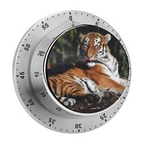 yanfind Timer   Big Cat Carnivore Wild Closeup 60 Minutes Mechanical Visual Timer