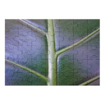 yanfind Picture Puzzle Leaf Texture Plant Botany Stem Terrestrial Flower Family Game Intellectual Educational Game Jigsaw Puzzle Toy Set