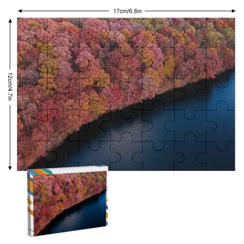 yanfind Picture Puzzle Aaron Burden Colorful Forest Trees Aerial Lake River Scenic Family Game Intellectual Educational Game Jigsaw Puzzle Toy Set