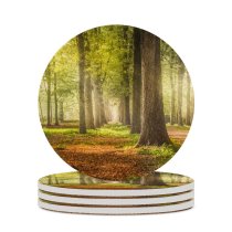 yanfind Ceramic Coasters (round) Skitterphoto Woodland Forest Trees Road Fallen Leaves Greenery Woods Sunshine Pathway Scenery Family Game Intellectual Educational Game Jigsaw Puzzle Toy Set