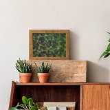 yanfind Picture Puzzle Ripples  Dapple Pacific Ocean River Lake Vegetation Leaf Plant Tree Family Game Intellectual Educational Game Jigsaw Puzzle Toy Set