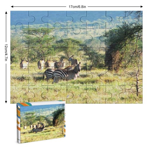 yanfind Picture Puzzle Zebra Wildlife Africa Savanna Grassland Terrestrial Natural Plant Community Wilderness Safari Family Game Intellectual Educational Game Jigsaw Puzzle Toy Set