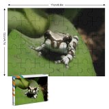 yanfind Picture Puzzle Amazonian Milk Frog Qute Amphibian Stripes Zebra Phrynohyas Resinifictrix Smile Tree Poison Family Game Intellectual Educational Game Jigsaw Puzzle Toy Set