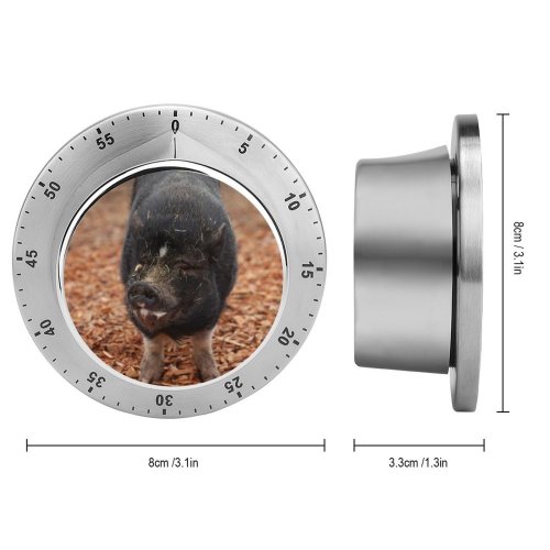 yanfind Timer Sanctuary Images Hog Wallpapers Grey Pictures Happy Pig Boar Farm Stock Free 60 Minutes Mechanical Visual Timer