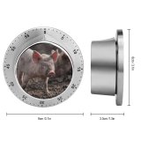 yanfind Timer Images Argentina Pig Azul De Aires Stock Free Buenos Pictures Boar Hog 60 Minutes Mechanical Visual Timer