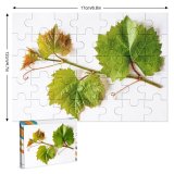 yanfind Picture Puzzle Grape Leaf  Plant Twig Agriculture Beauty  Botany Branch Bud Comunidad Family Game Intellectual Educational Game Jigsaw Puzzle Toy Set