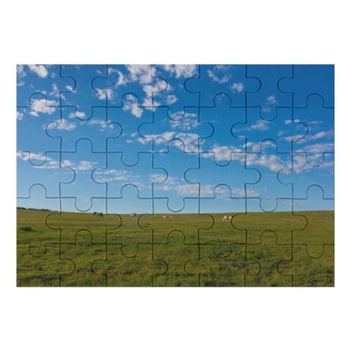 yanfind Picture Puzzle Landscape Sunshine Zebra Speed Kills Safari Beautiful Field Plateau  Traffic Sky Family Game Intellectual Educational Game Jigsaw Puzzle Toy Set