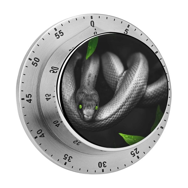yanfind Timer Dark Snake Reptile Eyes Jungle 60 Minutes Mechanical Visual Timer