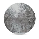 yanfind Ceramic Coasters (round) Images Land Flowers Snow Wallpapers Plant Outdoors Tree  States Winter Forest Family Game Intellectual Educational Game Jigsaw Puzzle Toy Set
