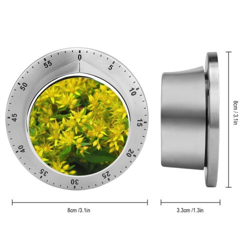 yanfind Timer Planter Images Photo Bush Pottery Potted Flowers Macro Jar Herbs Grass Vase 60 Minutes Mechanical Visual Timer