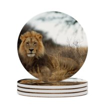 yanfind Ceramic Coasters (round) Images Lion Wildlife Africa Pictures PNG Kgalagadi Family Game Intellectual Educational Game Jigsaw Puzzle Toy Set
