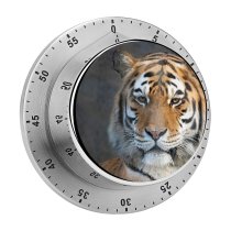 yanfind Timer Bengal  Portrait 60 Minutes Mechanical Visual Timer