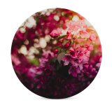 yanfind Ceramic Coasters (round) Valeria Boltneva Flowers Flowers Purple Bokeh  Floral Daytime Family Game Intellectual Educational Game Jigsaw Puzzle Toy Set