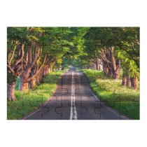 yanfind Picture Puzzle Sven Muller Blandford Road Empty Road Trees Landscape Woods Greenery Scenery Family Game Intellectual Educational Game Jigsaw Puzzle Toy Set