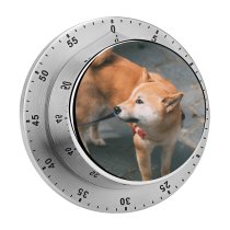 yanfind Timer Lovely Images Pet HQ Mood Wallpapers Pup Shiba Pictures Moody Strap Flagstone 60 Minutes Mechanical Visual Timer
