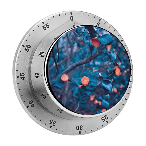yanfind Timer Images Greenery Rose Petal Fantasy Wallpapers Plant Garden Tree Free Hampton Bushy 60 Minutes Mechanical Visual Timer
