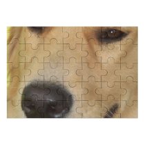 yanfind Picture Puzzle Dog Dogs Golden Vertebrate Canidae Carnivore Nose Snout Family Game Intellectual Educational Game Jigsaw Puzzle Toy Set