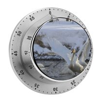 yanfind Timer Whooper  Bird Fight Spring Lake Vertebrate Ducks Geese Swans Beak Tundra 60 Minutes Mechanical Visual Timer