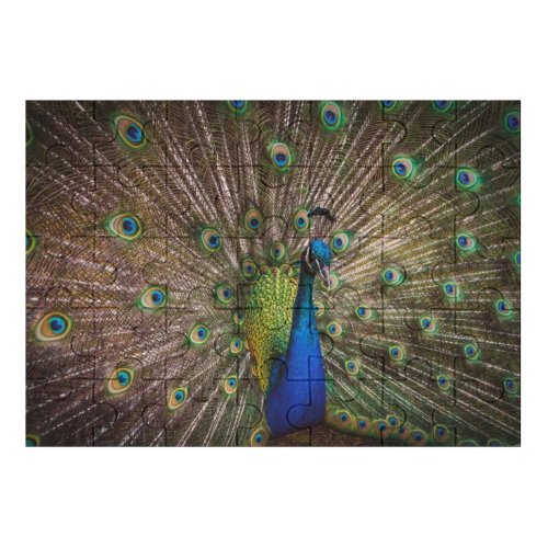 yanfind Picture Puzzle Paul Carmona  Peafowl Beautiful Feathers Closeup Bird Colorful Family Game Intellectual Educational Game Jigsaw Puzzle Toy Set