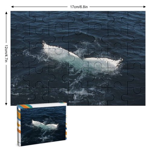 yanfind Picture Puzzle Whale Australie Walvis Sea  Oceaan Ocean Marine Biology Cetacea Wind Wave Family Game Intellectual Educational Game Jigsaw Puzzle Toy Set