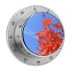 yanfind Timer Tree Leaf Leaves Sky Flowering Plant Flower Autumn Stem Maple 60 Minutes Mechanical Visual Timer