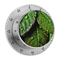 yanfind Timer Dark Leaves Drops Dew Closeup Macro   Greenery 60 Minutes Mechanical Visual Timer