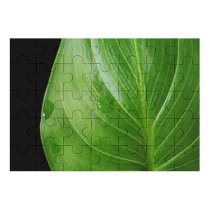 yanfind Picture Puzzle Leaf Raindrop Vein Distort Terrestrial Plant Flower Botany  Lily Flowering Banana Family Game Intellectual Educational Game Jigsaw Puzzle Toy Set