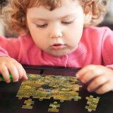 yanfind Picture Puzzle River Transparency Rocks Warm Shallow Rock Mineral Organism Geology Watercourse Family Game Intellectual Educational Game Jigsaw Puzzle Toy Set
