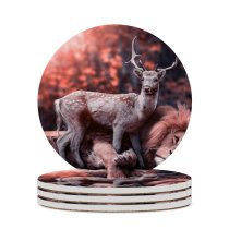 yanfind Ceramic Coasters (round) Comfreak Lion Deer Hirsch  Wild Big Cat Carnivore Fantasy Cute Family Game Intellectual Educational Game Jigsaw Puzzle Toy Set