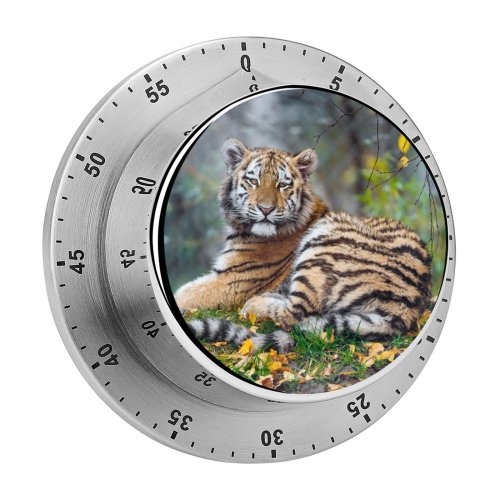 yanfind Timer Tambako Jaguar Young Tigress Carnivore Autumn Leaves Grass Wild Big Cat 60 Minutes Mechanical Visual Timer