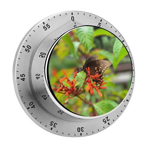 yanfind Timer Nectar Bee Images Insect Fl Plant Free States Natural Largo Invertebrate Honey 60 Minutes Mechanical Visual Timer