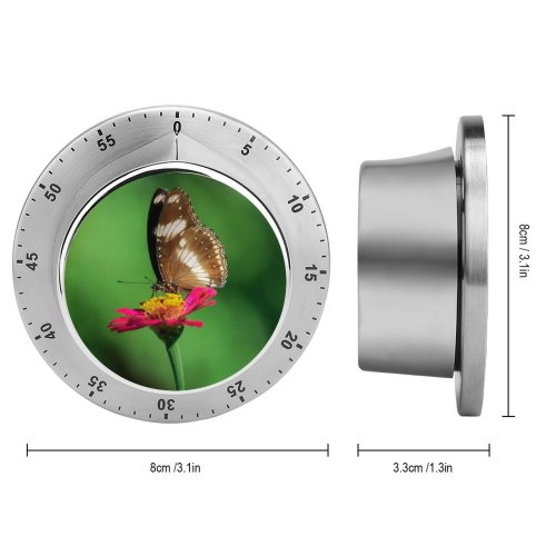 yanfind Timer Petals Images Pretty Insect Spring Wing Public Underside Wildlife Wallpapers Plant Pollen 60 Minutes Mechanical Visual Timer