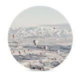 yanfind Ceramic Coasters (round) Images  HQ Landscape Snow Wallpapers  Outdoors Aircraft Arctic Winter Pictures Family Game Intellectual Educational Game Jigsaw Puzzle Toy Set