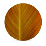yanfind Ceramic Coasters (round) Stuff Rusty Old Leaf Fall Plant Texture Max Dark  Nice Beautiful Family Game Intellectual Educational Game Jigsaw Puzzle Toy Set