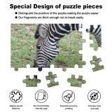 yanfind Picture Puzzle Zebra Terrestrial Wildlife Grass Grazing Grassland Snout Plant Pasture Family Game Intellectual Educational Game Jigsaw Puzzle Toy Set