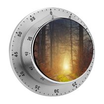 yanfind Timer Johannes Plenio Forest Autumn Light Atmosphere Fall Daytime 60 Minutes Mechanical Visual Timer