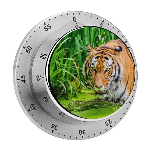 yanfind Timer  Pond Big Cat 60 Minutes Mechanical Visual Timer