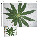 yanfind Picture Puzzle Leaf Closeup Tree Wishes Structure Plants Plant Flower Botany Flowering Terrestrial Stem Family Game Intellectual Educational Game Jigsaw Puzzle Toy Set