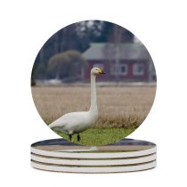 yanfind Ceramic Coasters (round) Whooper  Bird Field Winter Beak Grass Ducks Geese Swans Atmospheric Wildlife Family Game Intellectual Educational Game Jigsaw Puzzle Toy Set