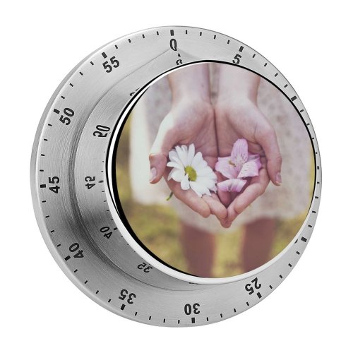 yanfind Timer Třebíč Images Give Czechia Spring Flora Flowers Wallpapers Closeup Plant Bloom 60 Minutes Mechanical Visual Timer